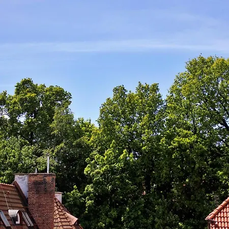 On The Roof * Sopot